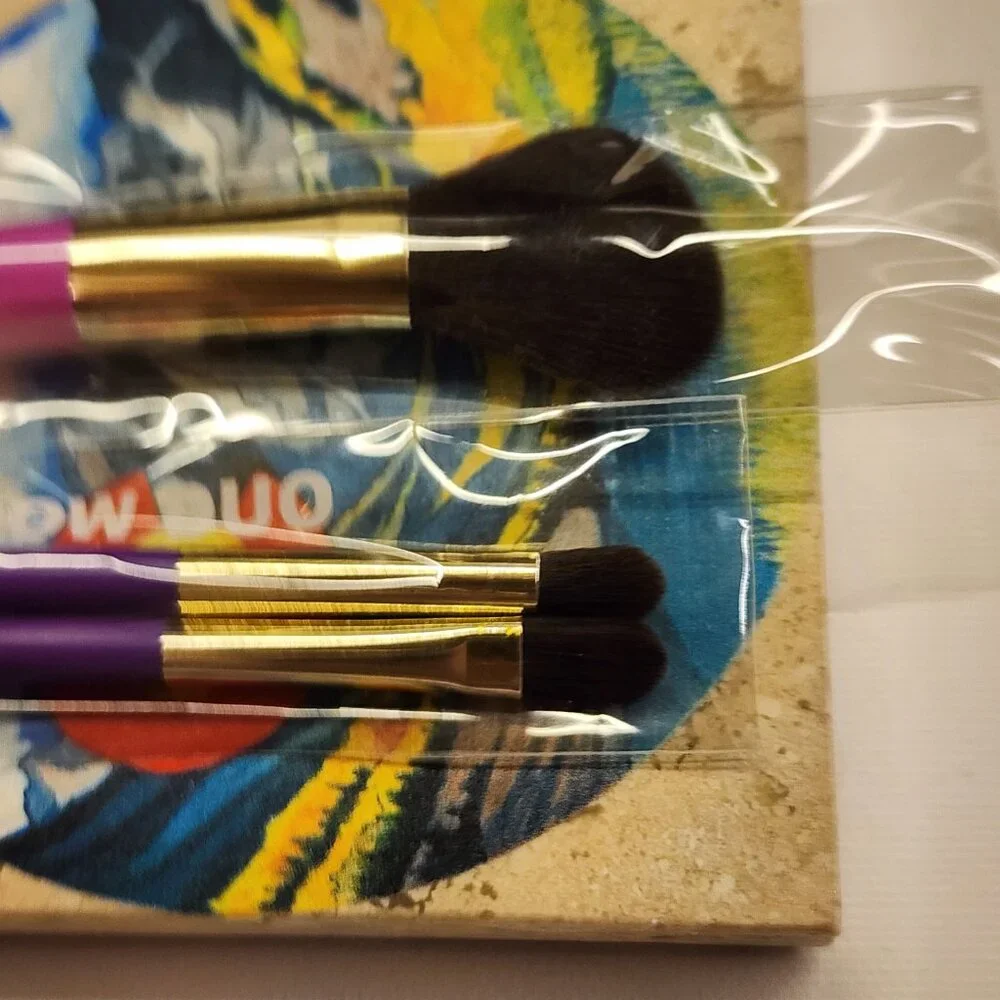 SEALED Japonesque Concealer & Eyeshadow Duo & Angled Blush Brush - 3pc Bundle